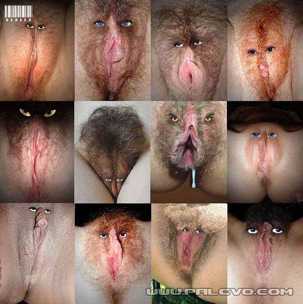 discount dvd porn wholesale